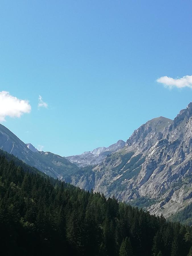 Fruehstueckspension Seeberghof Seewiesen Dış mekan fotoğraf